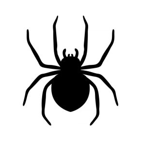 ARAÑA NEGRA UNIDAD